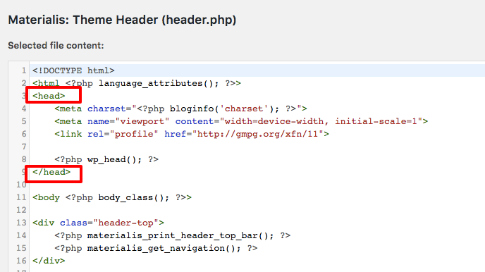 <head> element in the header.php file